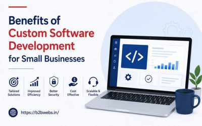 Benefits of Custom Software Development for Small Businesses